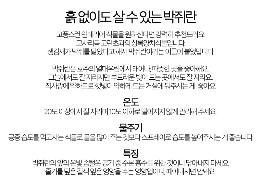 무제-1.jpg