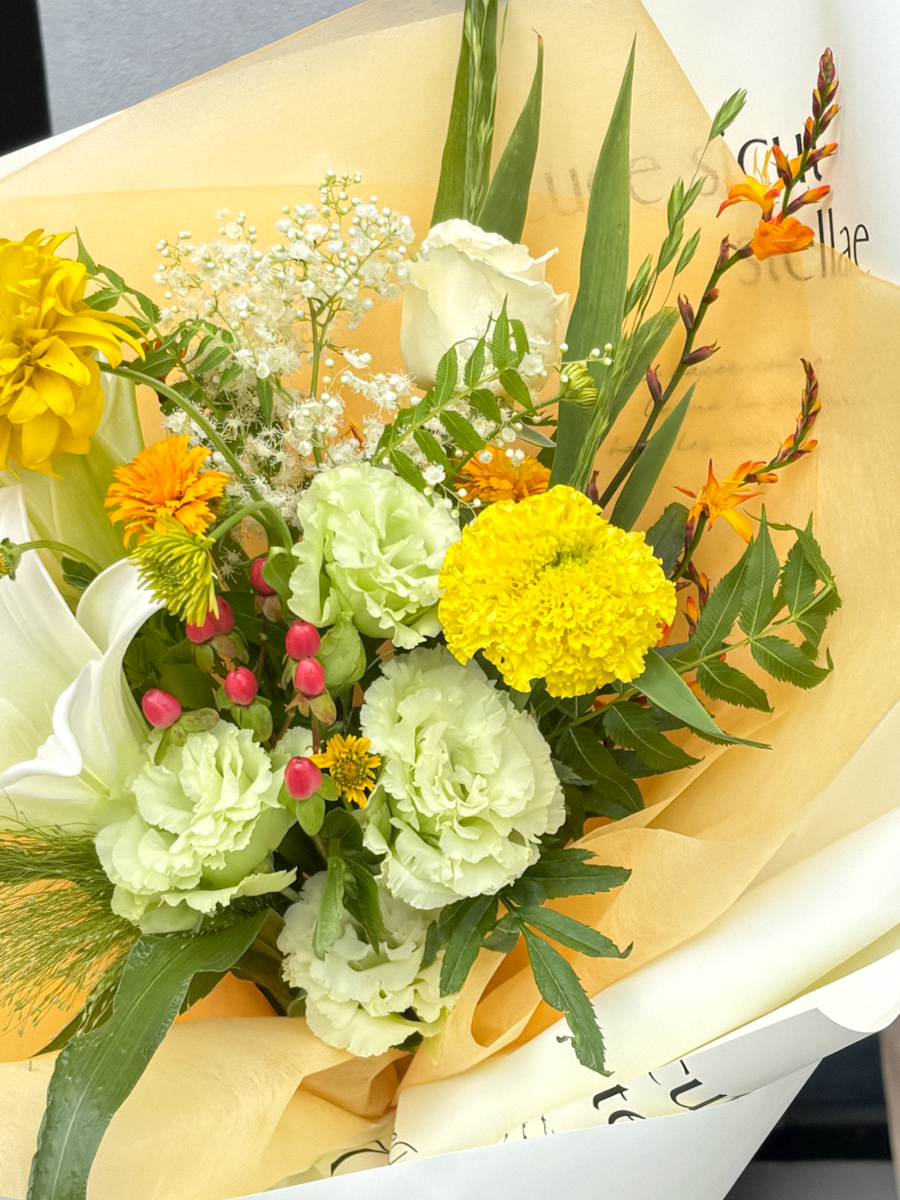 IMG_7567.png